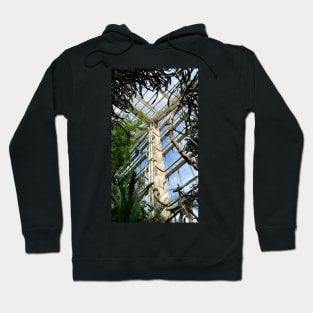 botany Hoodie